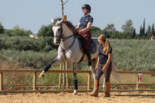 Spain-Southern Spain-Classical Dressage Clinic - in Southern Spain